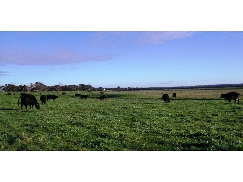95 Tarwin Lower Waratah Road RD, Tarwin Lower VIC 3956