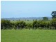614 Inverloch Tarwin Lower Road, Inverloch VIC 3996