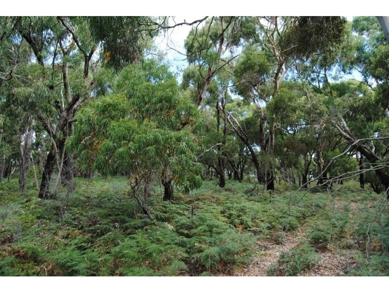 45 Mason Road, Tarwin Lower VIC 3956