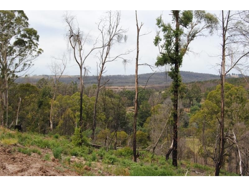 11 Le Bruns Road, Darlimurla VIC 3871