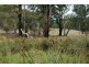 11 Le Bruns Road, Darlimurla VIC 3871