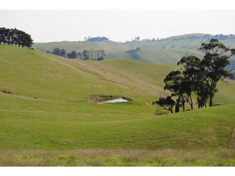 1445 Korumburra – Warragul Road, Strzelecki VIC 3950