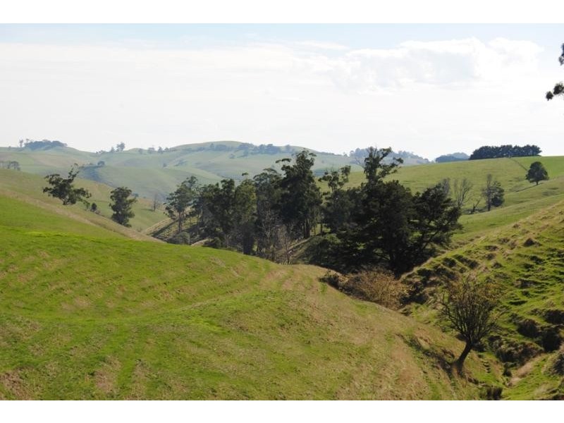 1445 Korumburra – Warragul Road, Strzelecki VIC 3950