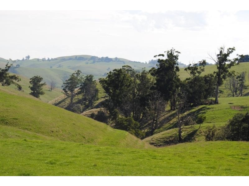 1445 Korumburra – Warragul Road, Strzelecki VIC 3950