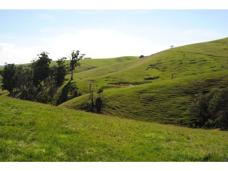 1445 Korumburra – Warragul Road, Strzelecki VIC 3950