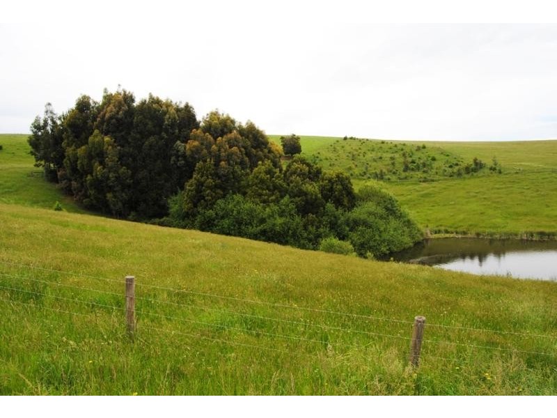 47 Old Mardan Road, Mirboo North VIC 3871