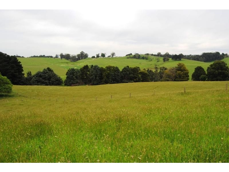 47 Old Mardan Road, Mirboo North VIC 3871