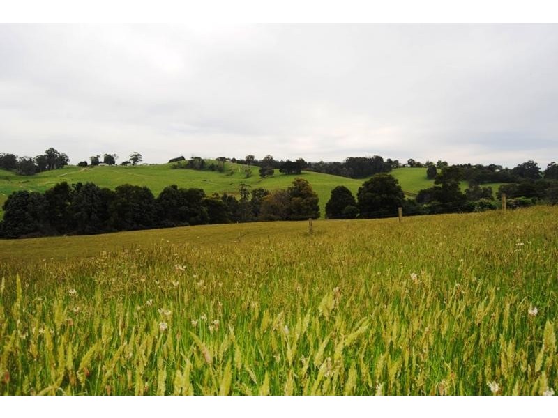 47 Old Mardan Road, Mirboo North VIC 3871