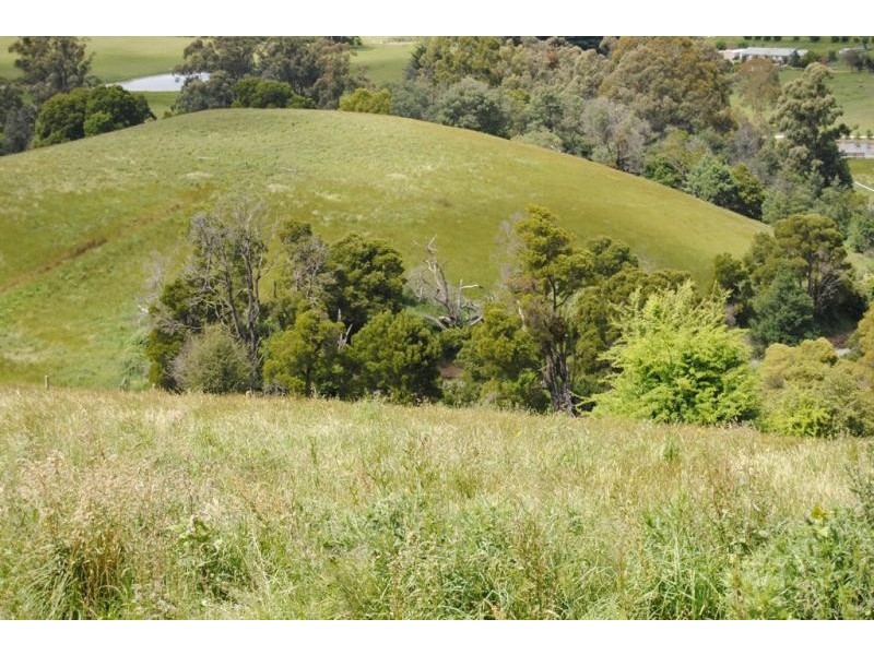 30 James Road Kardella (via), Leongatha VIC 3953