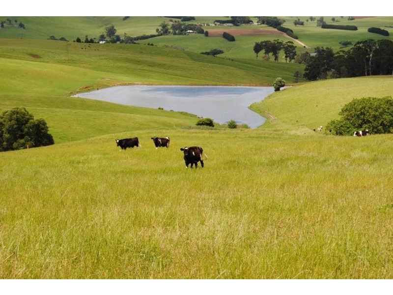 330 Mount Vernon Road Berrys Creek, Leongatha VIC 3953