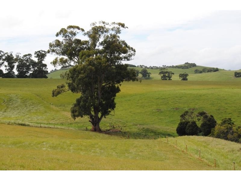 330 Mount Vernon Road Berrys Creek, Leongatha VIC 3953