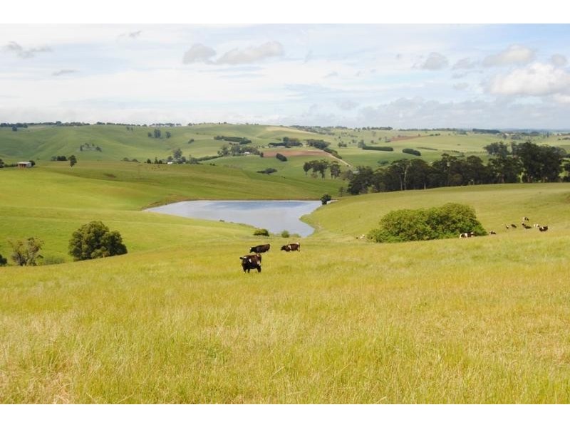 330 Mount Vernon Road Berrys Creek, Leongatha VIC 3953