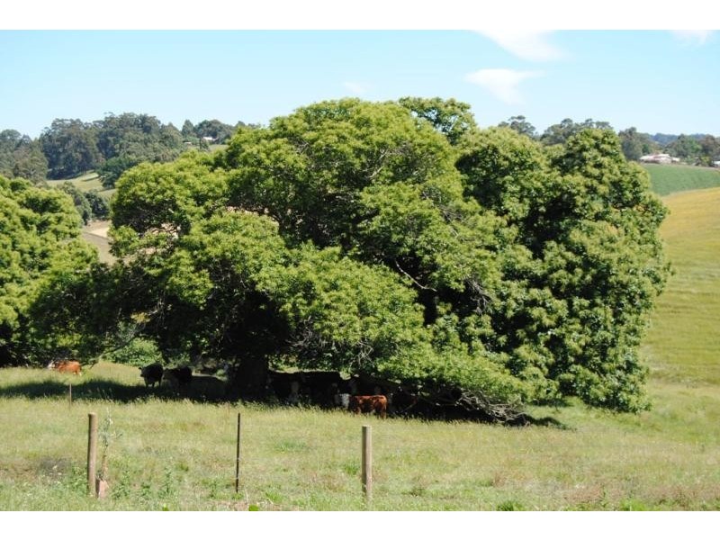 Lot 2/47 Old Mardan Road, Mirboo North VIC 3871