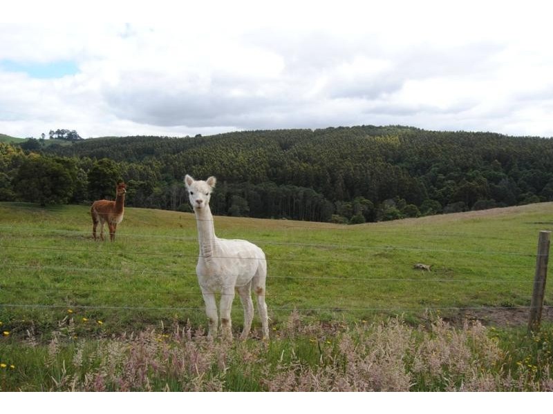 1775 Grand Ridge Road, Trida VIC 3953