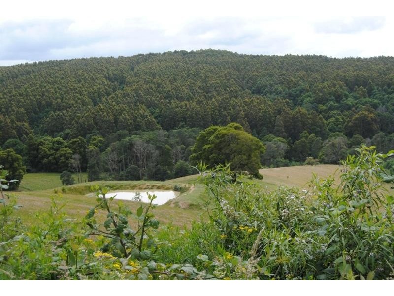 1775 Grand Ridge Road, Trida VIC 3953