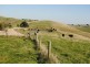 Grantville VIC 3984