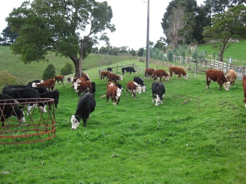 Foster North VIC 3960