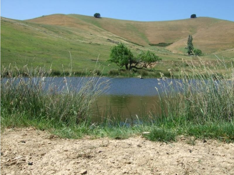 703 Dairy Creek Rd, Yea VIC 3717