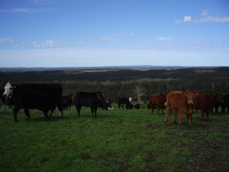 0 Mount Deception Road, Heywood VIC 3304