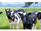 0 Faulkners North Road, Warrnambool VIC 3280