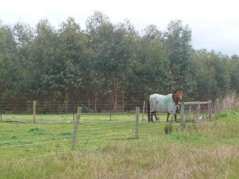 Bessiebelle VIC 3304