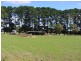 495 Camerons Road, Woolsthorpe VIC 3276