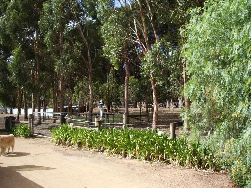 209 Cooramook Road, Grassmere VIC 3281