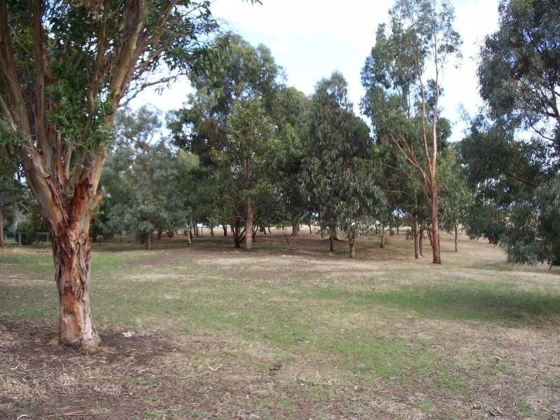 209 Cooramook Road, Grassmere VIC 3281