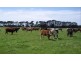 429 Hexham Road, Woolsthorpe VIC 3276