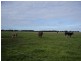 429 Hexham Road, Woolsthorpe VIC 3276