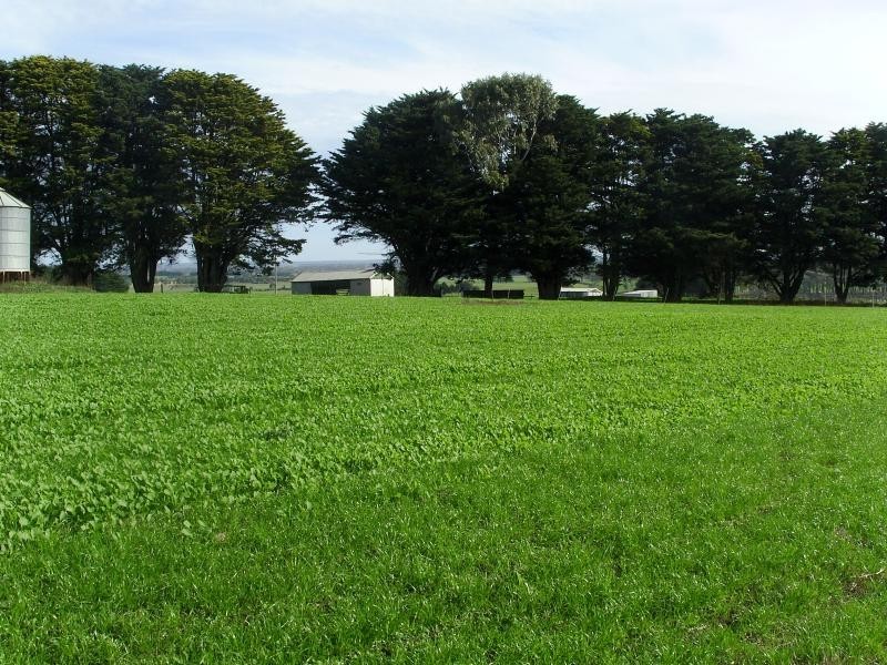 2331 Princes Highway, Heywood VIC 3304