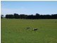 884 Tarrone North Road, Tarrone VIC 3283