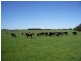 884 Tarrone North Road, Tarrone VIC 3283