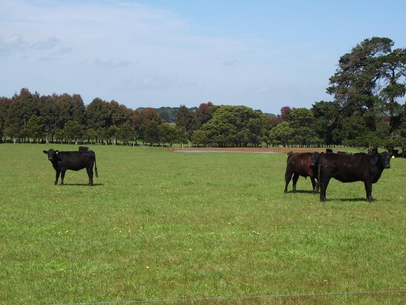 455 Moyne Falls-Hawkesdale Road, Hawkesdale VIC 3287