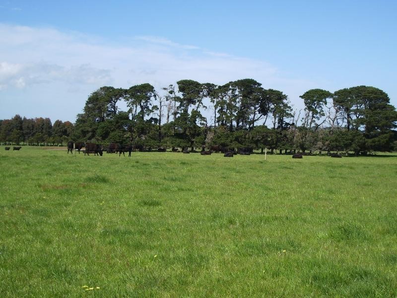 455 Moyne Falls-Hawkesdale Road, Hawkesdale VIC 3287