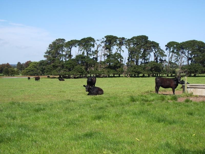 455 Moyne Falls-Hawkesdale Road, Hawkesdale VIC 3287