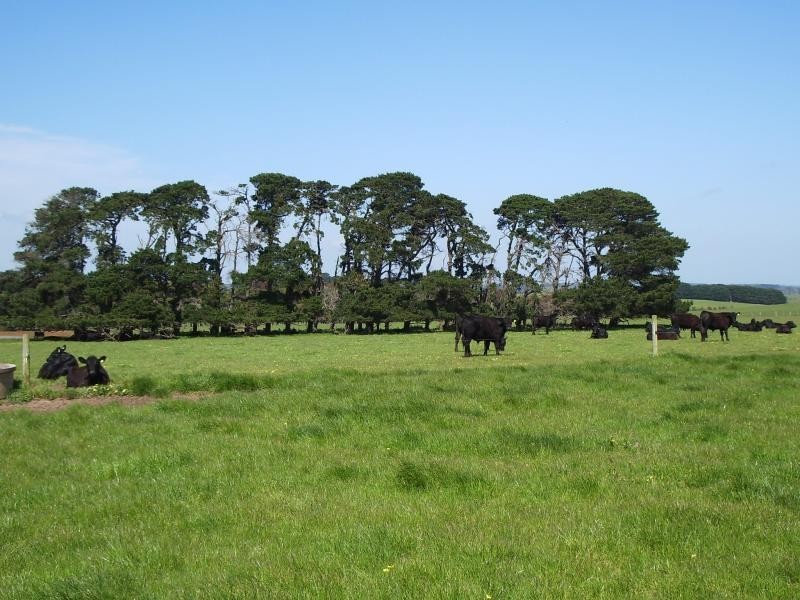 455 Moyne Falls-Hawkesdale Road, Hawkesdale VIC 3287