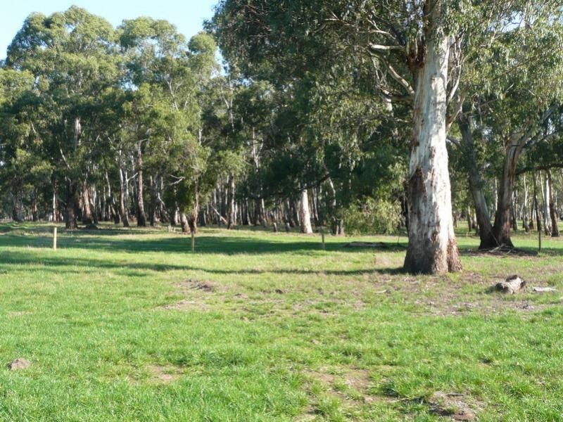 Ecklin South VIC 3265