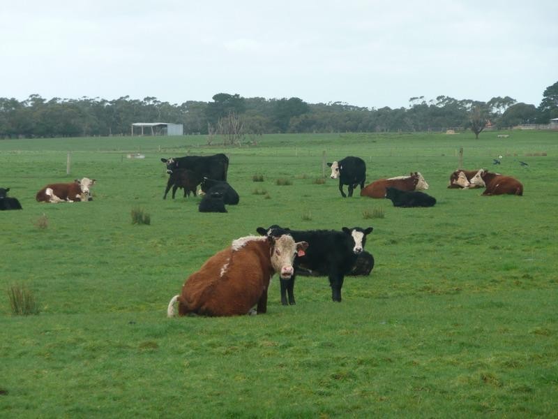 Gorae West VIC 3305