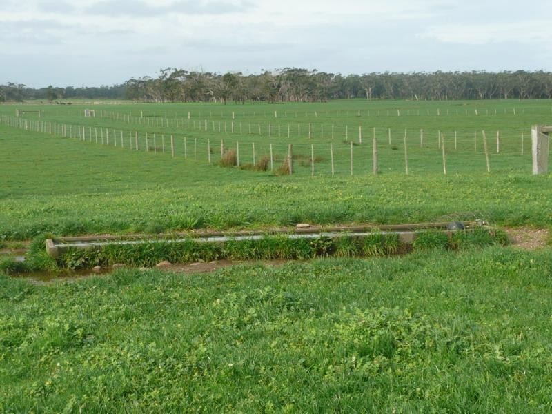 Gorae West VIC 3305