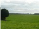 Gorae West VIC 3305