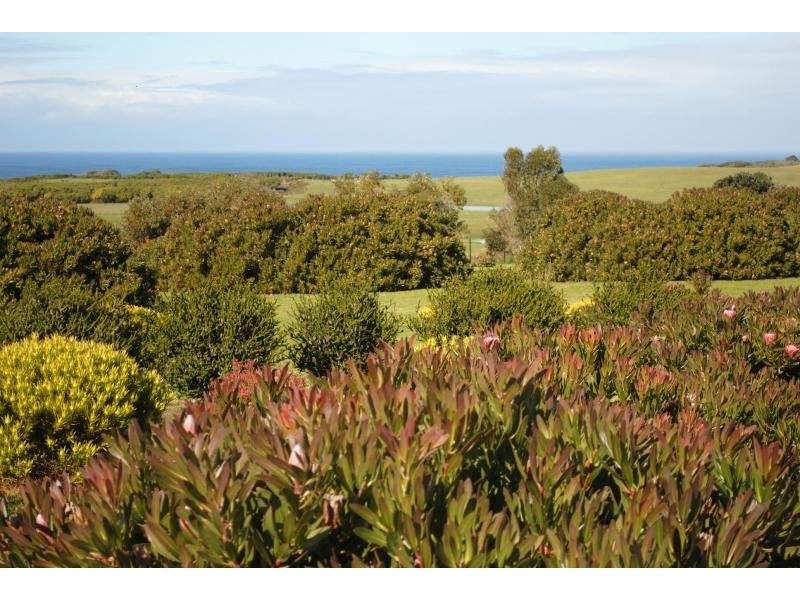 410 Cape Nelson Road, Portland VIC 3305