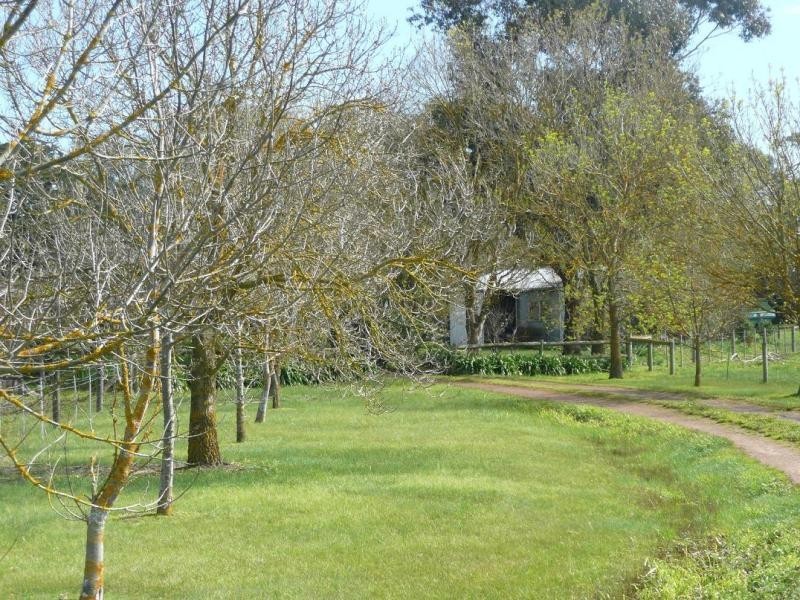 570 Connewarren Lane, Mortlake VIC 3272