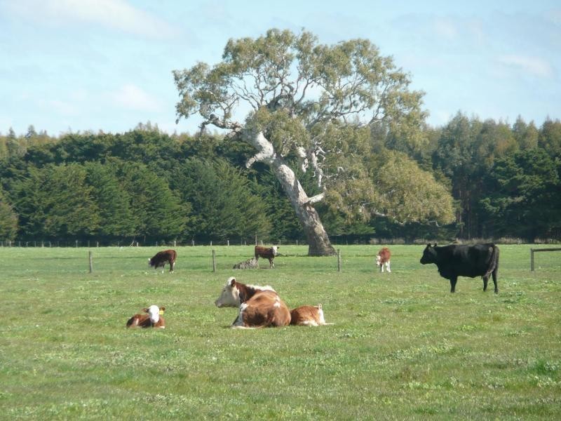 570 Connewarren Lane, Mortlake VIC 3272