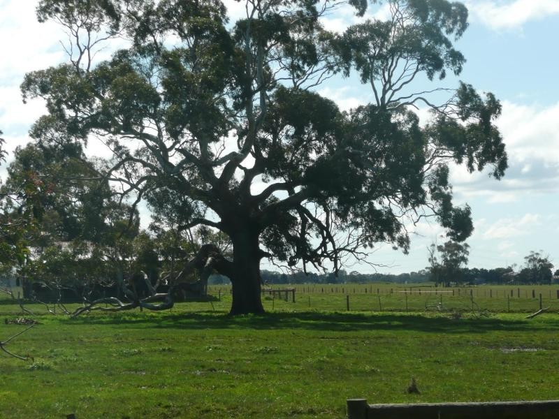 570 Connewarren Lane, Mortlake VIC 3272