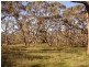 195 Woodacres Road, Chetwynd VIC 3312
