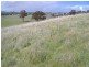 50 Mitchell Street, Casterton VIC 3311