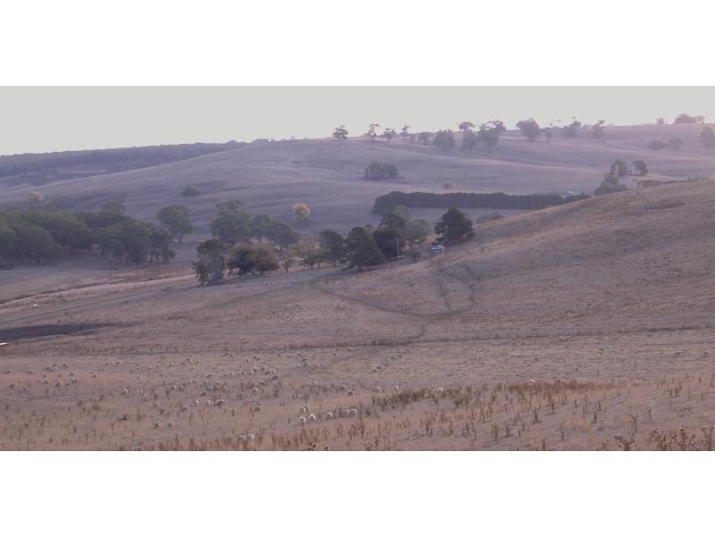 389 Mocamboro Road, Henty VIC 3312