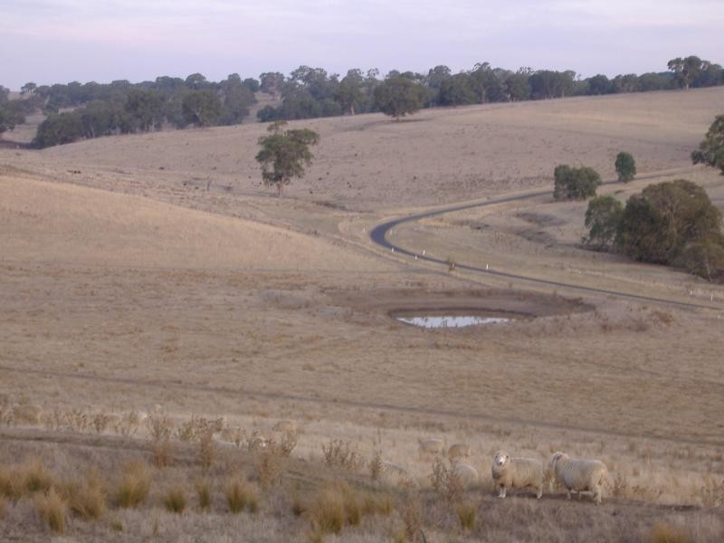 389 Mocamboro Road, Henty VIC 3312