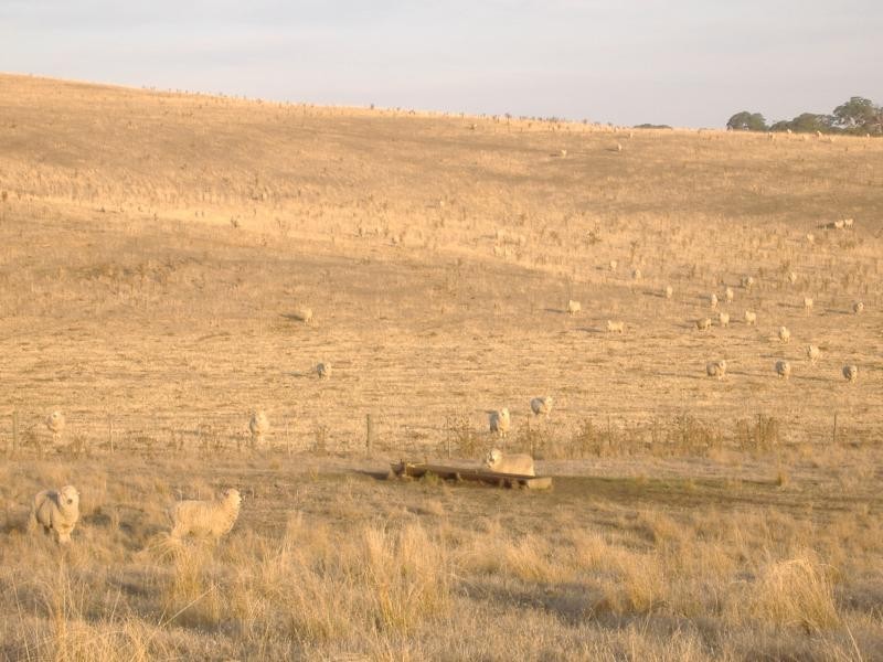 389 Mocamboro Road, Henty VIC 3312